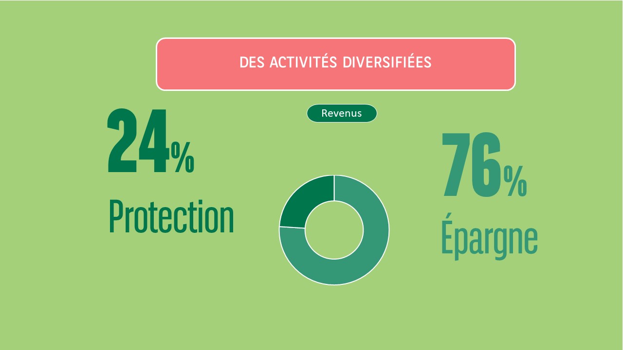 Leader mondial en assurance des emprunteurs. Des activités et une distribution diversifiées. Revenus : 76% épargne 24% protection.